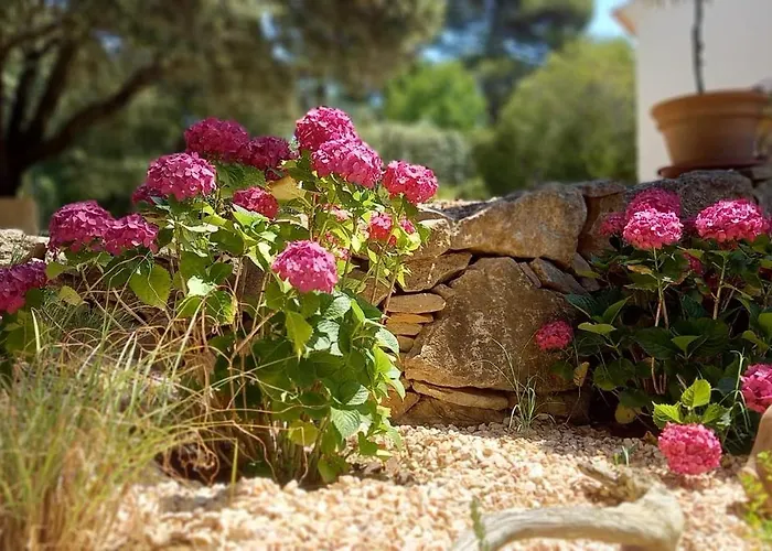 Au Temps Pour Vous